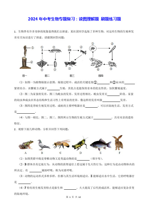 2024年中考生物专题复习：读图理解题 刷题练习题(Word版,含答案)