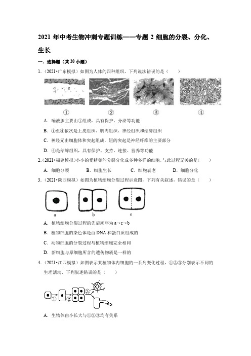 2021年中考生物冲刺专题训练——专题2细胞的分裂、分化、生长  解析版