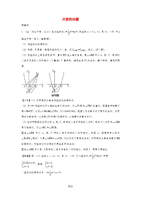 中考数学真题分类汇编(第三期)专题39 开放性问题试题(含解析)
