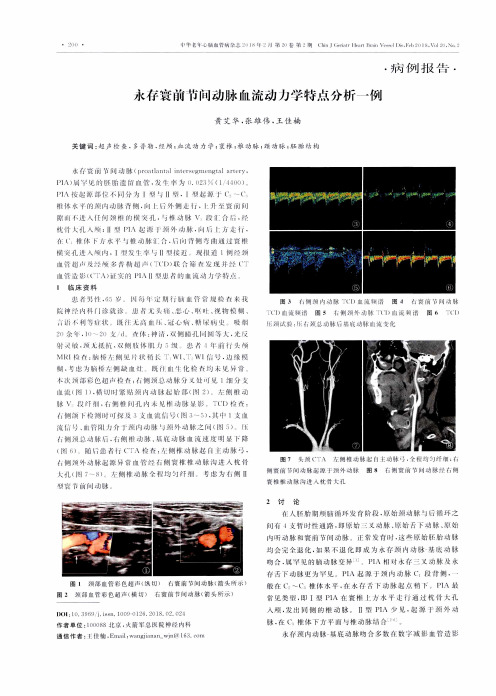 永存寰前节间动脉血流动力学特点分析一例