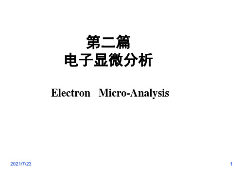 TEM-SEMPPT课件