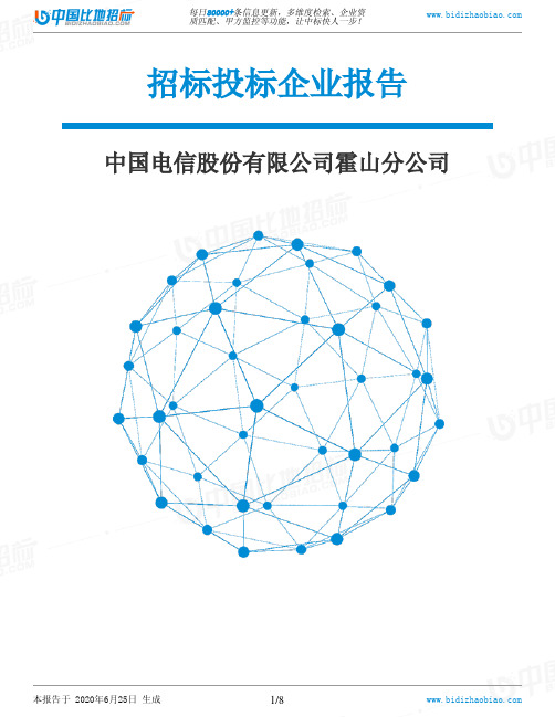 中国电信股份有限公司霍山分公司-招投标数据分析报告