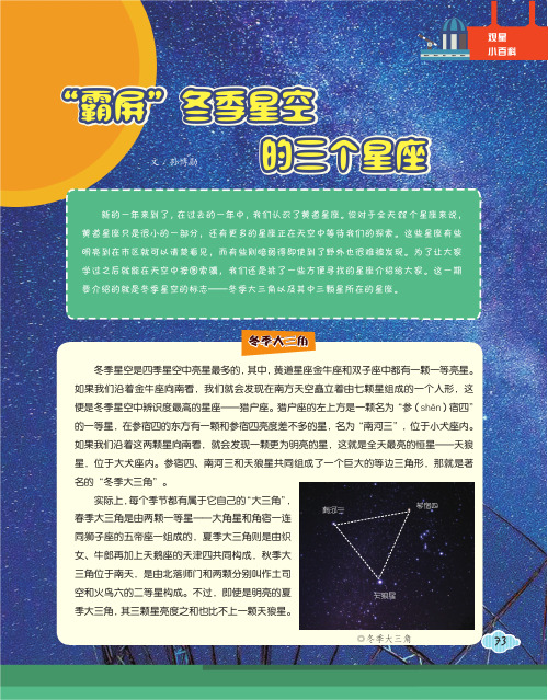 霸屏冬季星空的三个星座