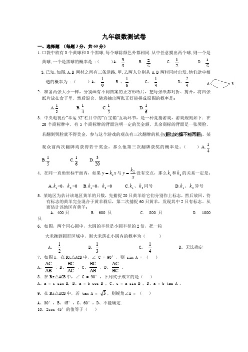 北师大版九年级数学测试题