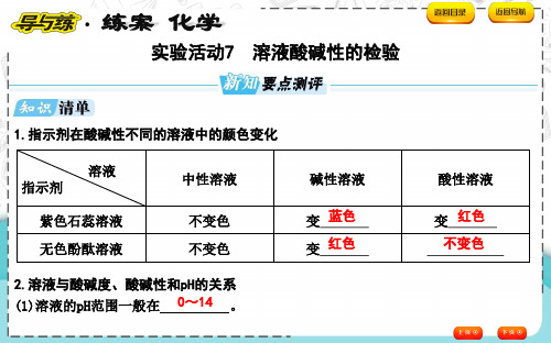 实验活动7 溶液酸碱性的检验