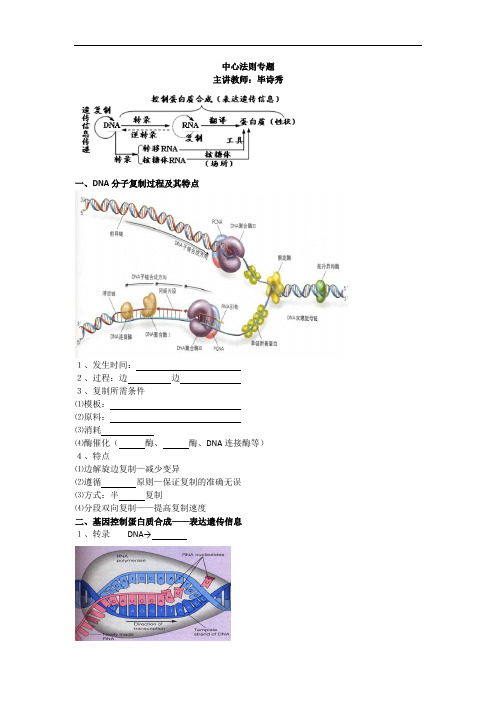 中心法则专题 专项讲解附例题及答案通用版生物总复习