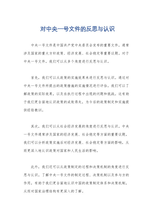 对中央一号文件的反思与认识