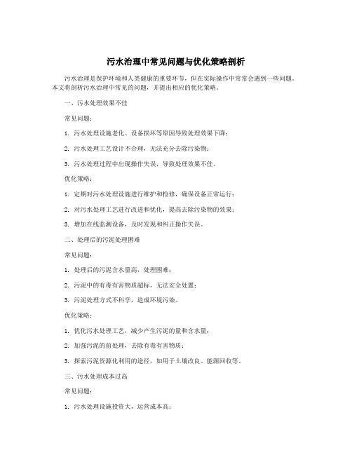 污水治理中常见问题与优化策略剖析