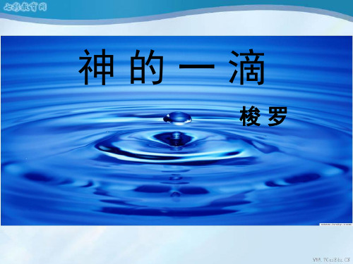 语文必修ⅰ苏教版 《神的一滴》课件.