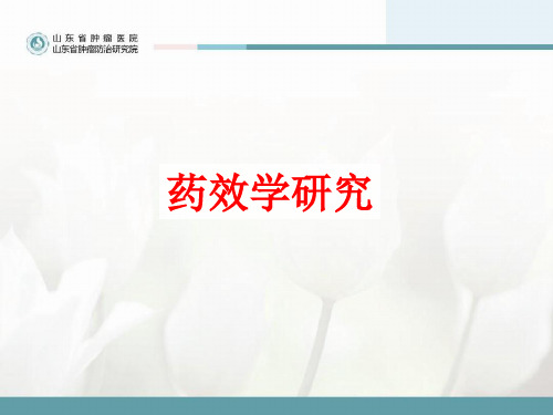 药效学研究 ppt课件