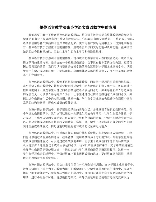 整体语言教学法在小学语文成语教学中的应用