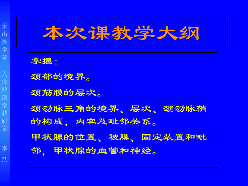 2颈部局解 医科大学局解课件 哈尔滨医科大学局解课件 局部解剖学教学课件