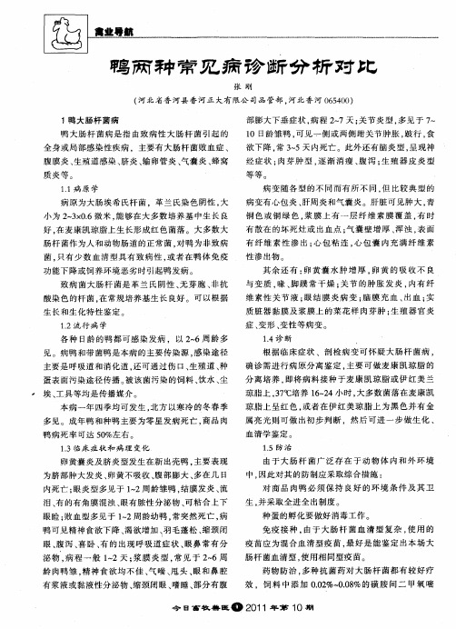 鸭两种常见病诊断分析对比