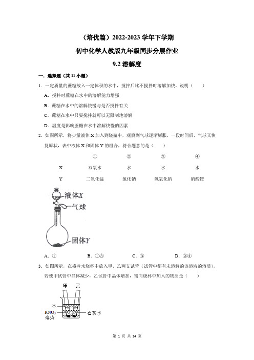 (培优篇)2022-2023学年下学期初中化学人教版九年级同步分层作业9