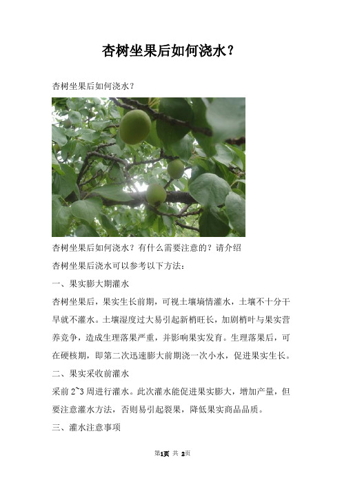 杏树坐果后如何浇水?