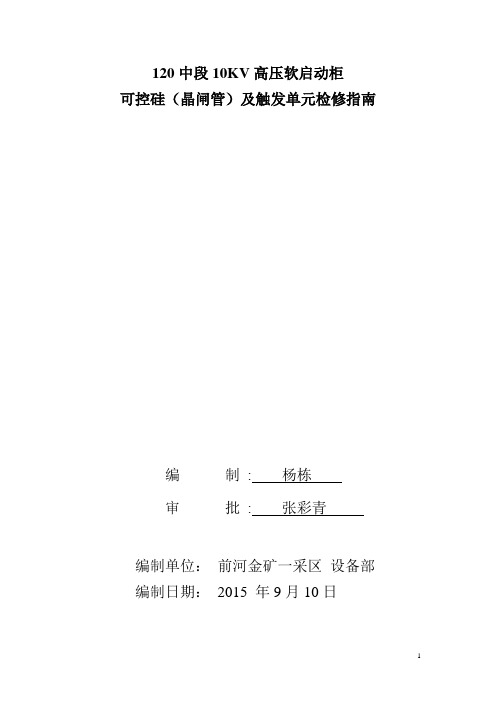 10KV高压软启动(可控硅)技术手册