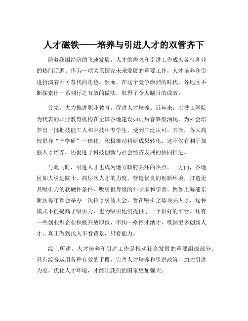 人才培养与引进人才的做法与成效