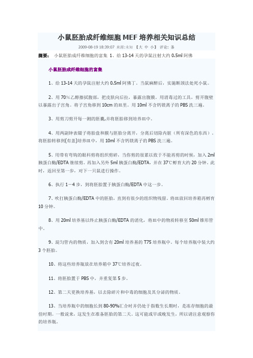 小鼠胚胎成纤维细胞MEF培养相关知识总结