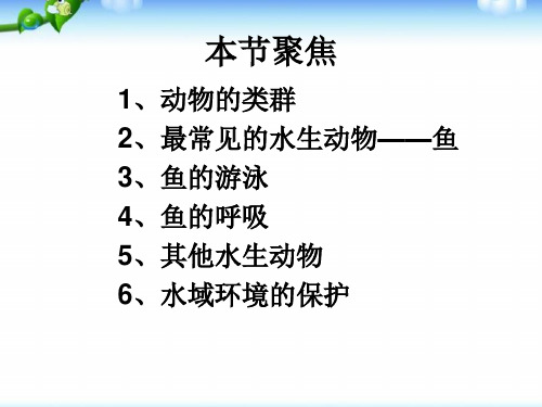 新人教版八年级上册生物第一章第四节鱼