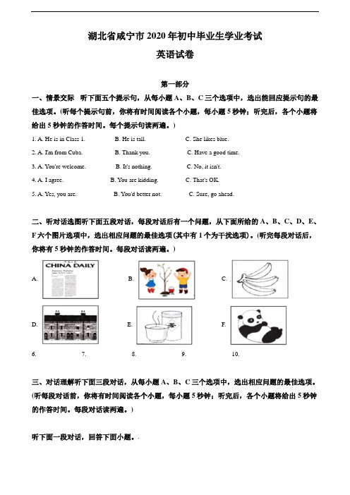 2020年湖北省咸宁市中考英语试题(学生版)