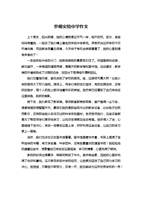 参观实验中学作文