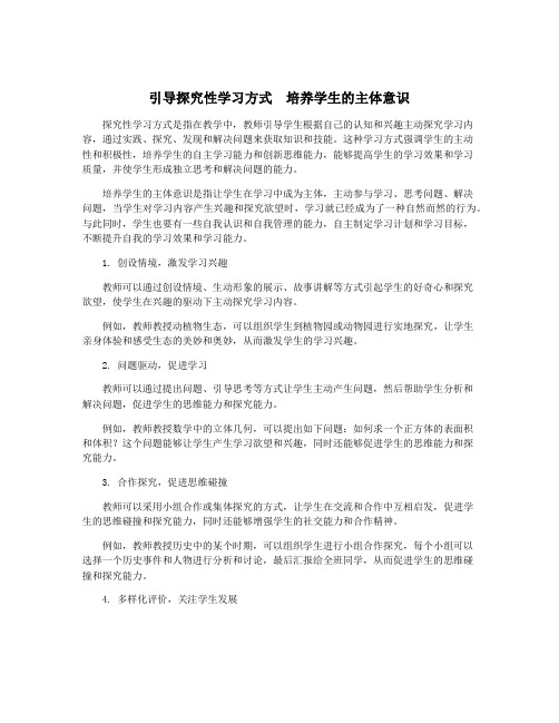 引导探究性学习方式  培养学生的主体意识