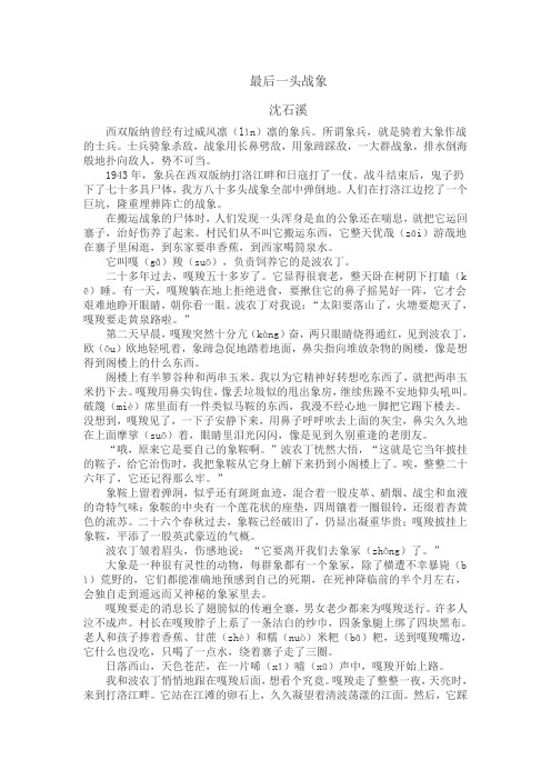 最后一头战象小学语文新课标阅读