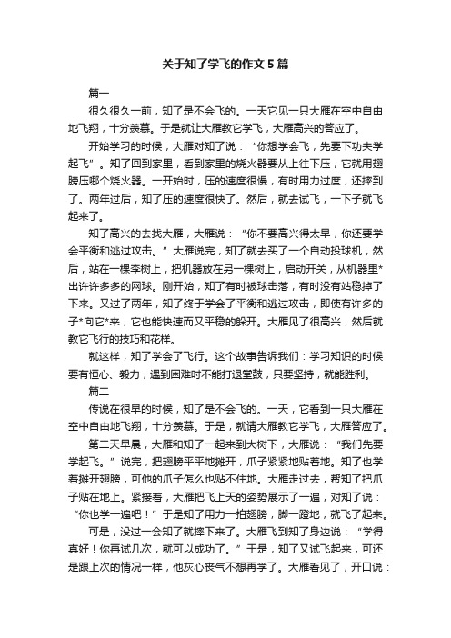 关于知了学飞的作文5篇