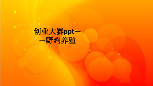 创业大赛——野鸡养殖ppt课件