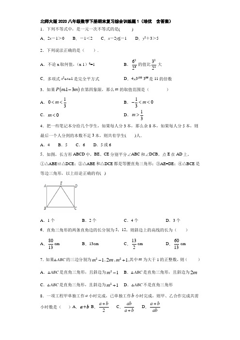 北师大版2020八年级数学下册期末复习综合训练题1(培优  含答案)