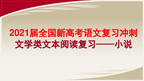 2021届全国新高考语文复习冲刺 文学类文本阅读——小说