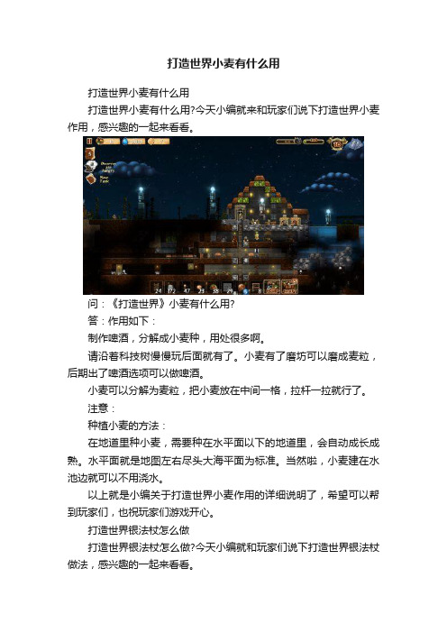 打造世界小麦有什么用