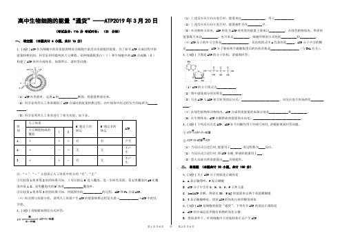 高中生物细胞的能量“通货”——ATP