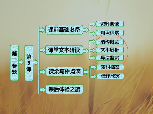 最新-2021学年高中语文选修传记选读课件：第二专题 第3课 马克思传 精品