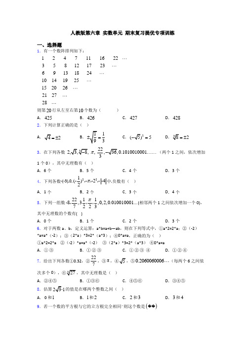 人教版第六章 实数单元 期末复习提优专项训练