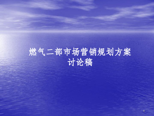 燃气市场营销规划方案参考PPT