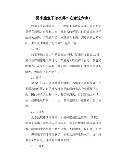 夏季熊童子怎么养?注意这六点!