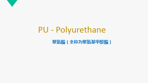 聚氨酯Polyurethane U 培训