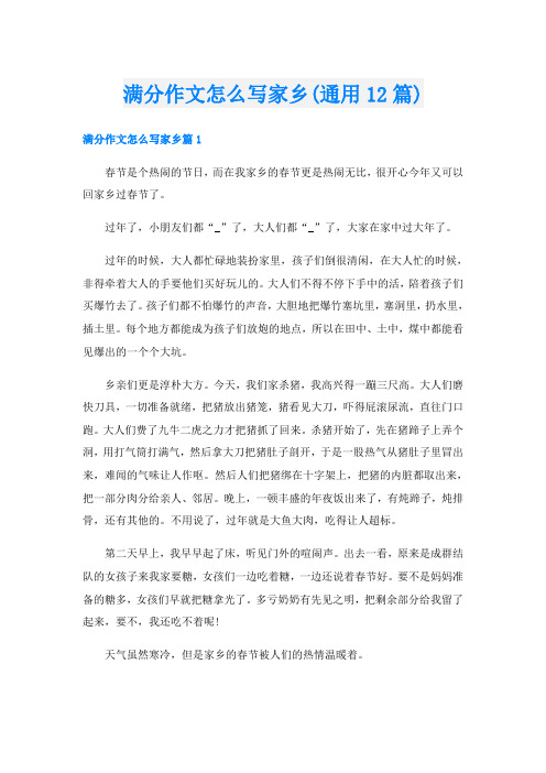 满分作文怎么写家乡(通用12篇)