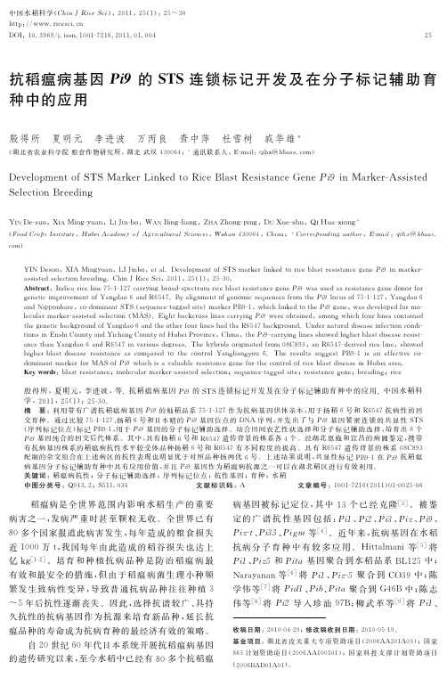 抗稻瘟病基因犘犻9 的犛犜犛连锁标记开发及在分子标记辅助育