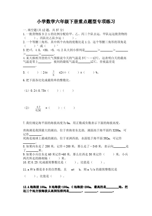 小学数学六年级下册重点题型专项练习含答案(A卷)