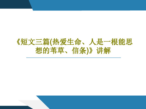 《短文三篇(热爱生命、人是一根能思想的苇草、信条)》讲解32页文档