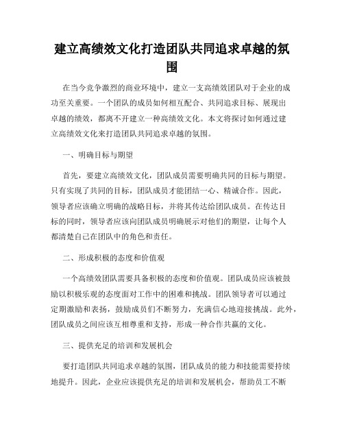 建立高绩效文化打造团队共同追求卓越的氛围