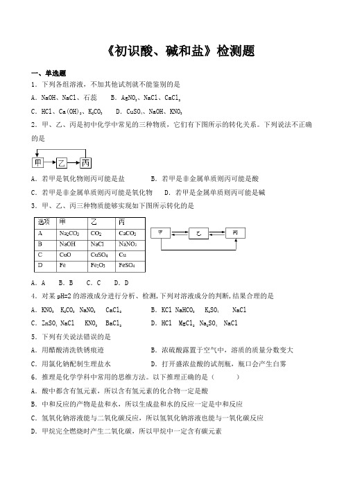 仁爱版初中化学九年级下册专题7 《初识酸、碱和盐》检测题(含答案)