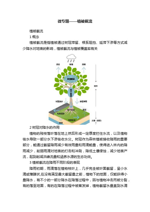 微专题——植被截流