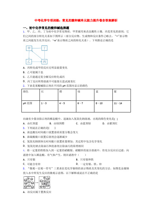 中考化学专项训练:常见的酸和碱单元能力提升卷含答案解析