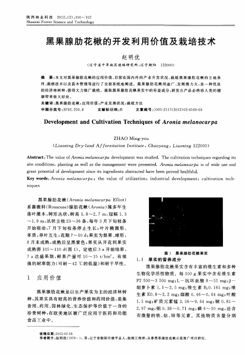 黑果腺肋花楸的开发利用价值及栽培技术