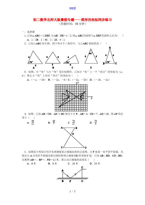 八年级数学暑假专题 图形的相似同步练习 北师大版