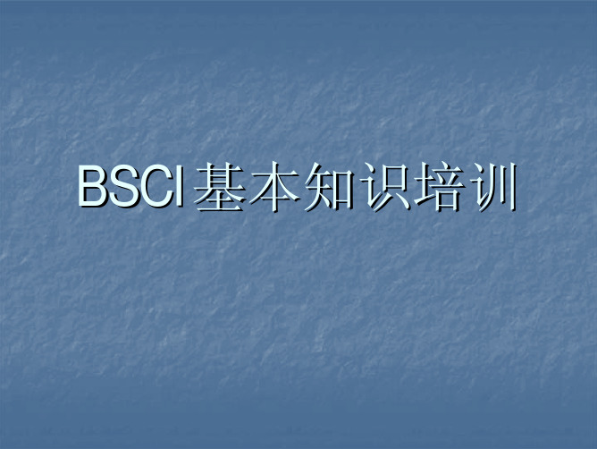 BSCI基本知识培训