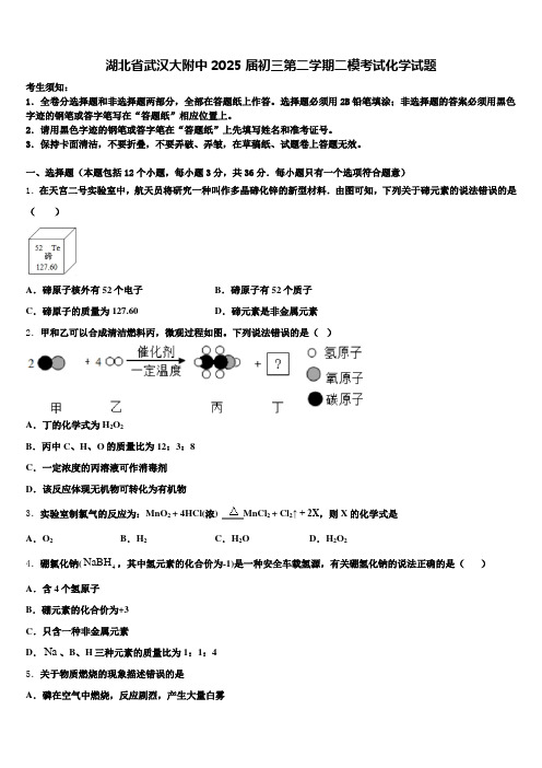 湖北省武汉大附中2025届初三第二学期二模考试化学试题含解析